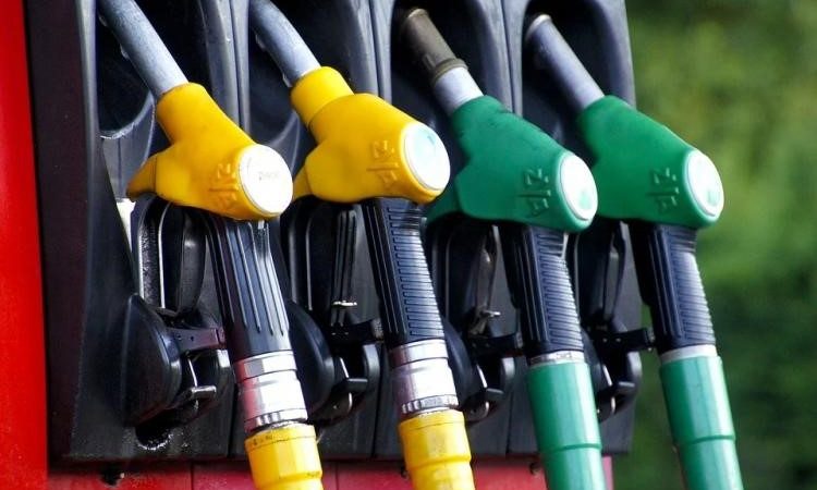 В Приморье зафиксировано снижение цен на бензин